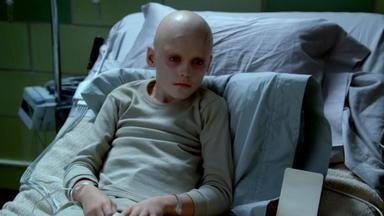 Fringe 1x15
