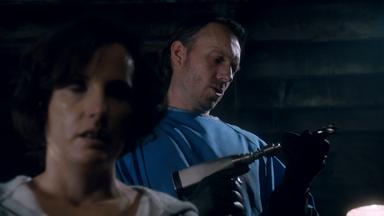 Fringe 4x2