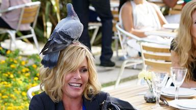 Modern Family 7x4