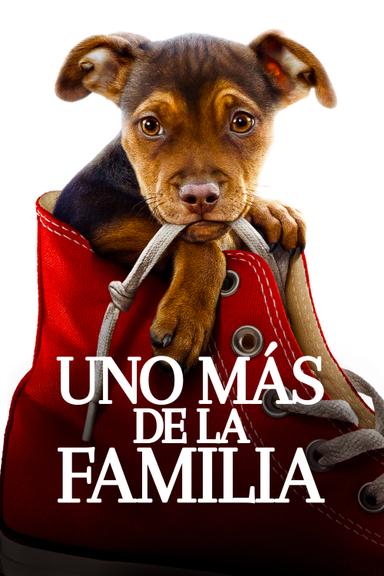 Uno más de la familia