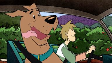 Shaggy y Scooby-Doo detectives 2x1