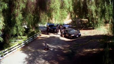 Mentes criminales 1x5