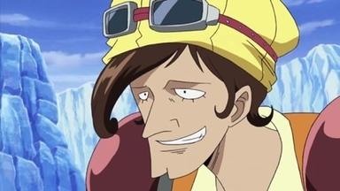 One Piece 9x333