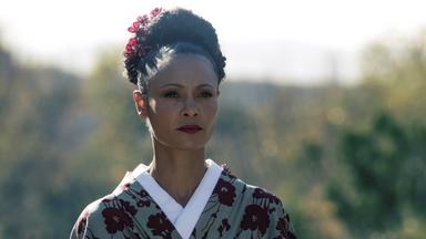 Westworld 2x5