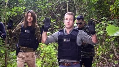 Hawái 5.0 7x21