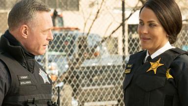 Chicago P.D. 8x12