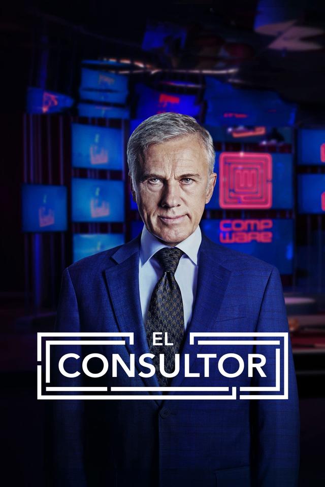 El consultor