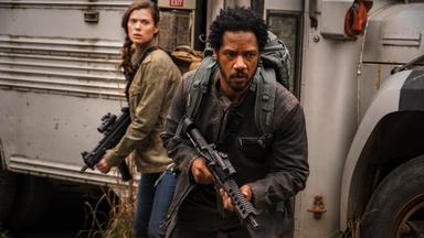 Colony 3x4