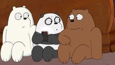 Somos osos 4x12