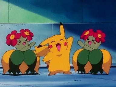 Pokémon 3x6
