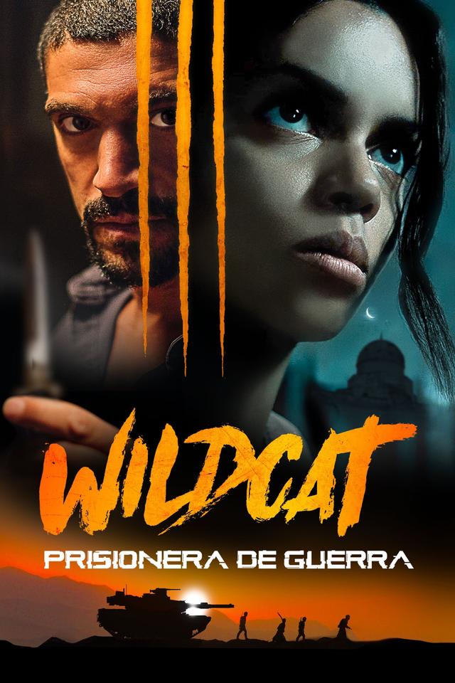 Wildcat