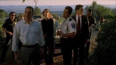 Mentes criminales 1x19