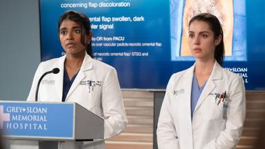 Anatomía de Grey 22x13