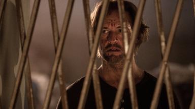 Colony 2x2