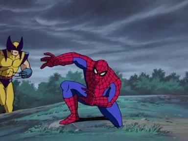 Spiderman 2x4