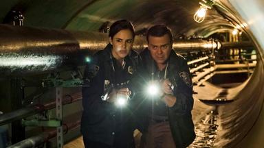Brooklyn Nine-Nine 4x11