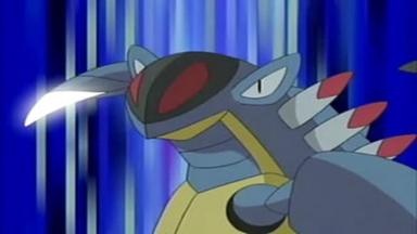 Pokémon 8x10