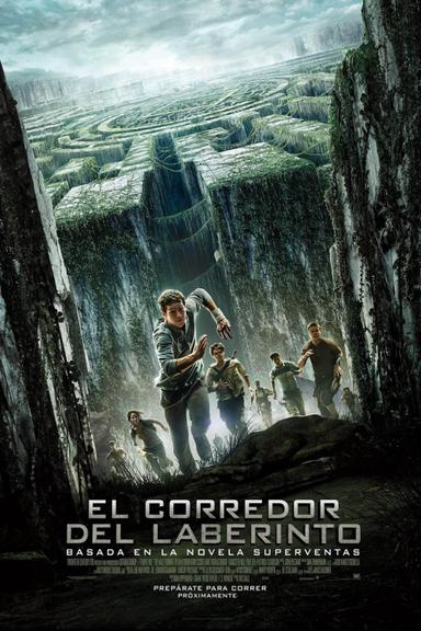 El corredor del laberinto