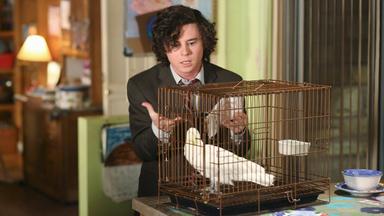 The Middle 7x12