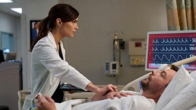 New Amsterdam 4x12