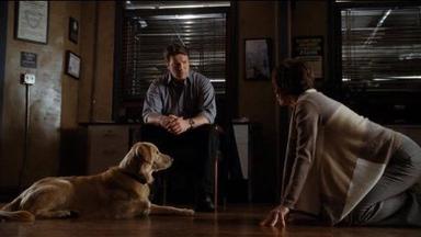 Castle 4x13