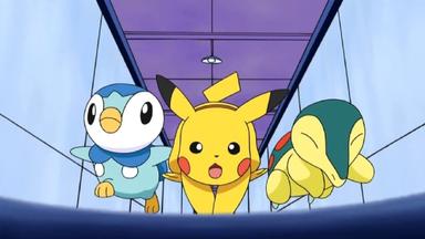 Pokémon 12x40