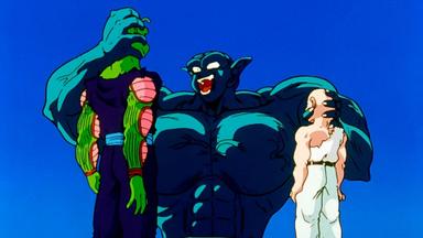Dragon Ball Z 4x8