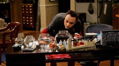 Big Bang 1x4