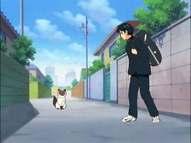 The Prince of Tennis 2x1