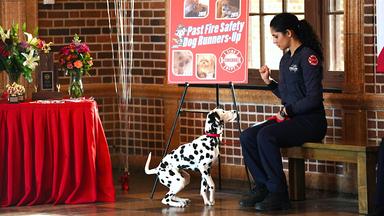 Chicago Fire 7x11
