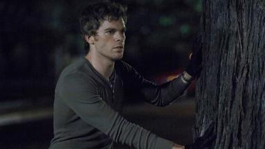 Dexter 4x5