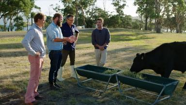Zac Efron: Con los pies en la tierra 2x8