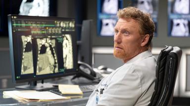 Anatomía de Grey 22x8