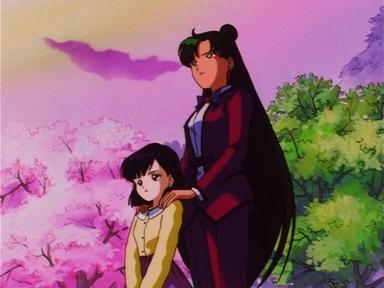 Sailor Moon 5x3