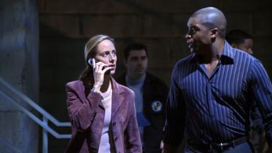 24 4x12