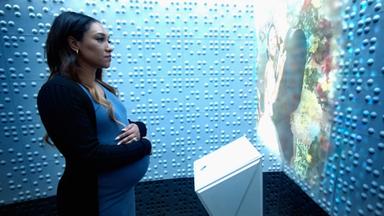 The Flash 9x11
