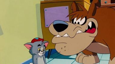 Los pequeños Tom & Jerry 1x1