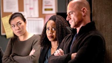 Ley y orden: Crimen organizado 2x14