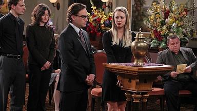 Big Bang 7x22