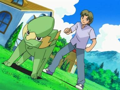 Pokémon 10x42