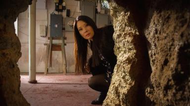 Elementary 3x20