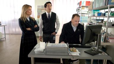 Elementary 7x11