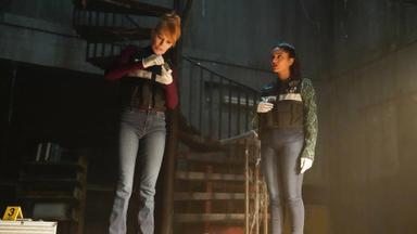 CSI: Vegas 3x4