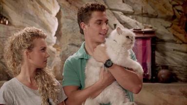 Las sirenas de Mako 2x16
