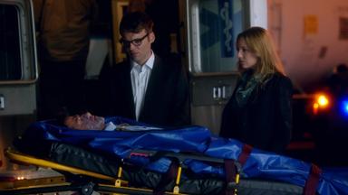 Fringe 4x1