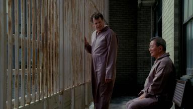 Fringe 1x8