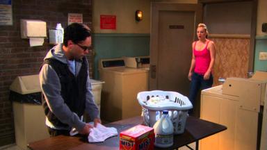 Big Bang 3x19