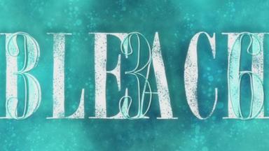 Bleach 1x336