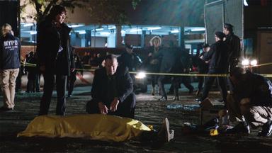Familia de policías 7x10