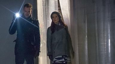 Elementary 3x17
